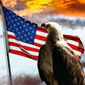 Meet your Posher, Dan